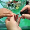 3 июля 2012 года на острове Попова по решению администрации