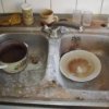 Cafes in Ussuriysk war eine Brutst"atte der unhygienischen