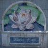 Ceramic "kvet zivota" se objevil na Svetlanskaya