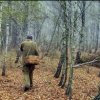 Emergenze Marittime: Prestare attenzione alle norme di sicurezza nelle foreste