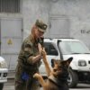 I cani della dogana dell'Estremo Oriente: per proteggere i confini ei loro padroni