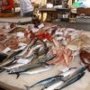 In der Hauptstadt der Region Primorje planen zu "offnen einem Fischmarkt