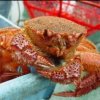 In Primorje, griff eine grosse Lieferung von illegal abgebaut Krabbe