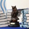 Организатором мероприятия выступает управление