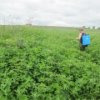 Организована работа передвижных стационарных постов