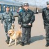Primorje Einwohner sind zu einem Treffen mit der F"uhrung der Far Eastern Investigation Department of Transport