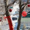 11 августа территория Спортивной набережной преобразится.