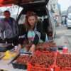 Agricultural Fair on the Square of the Revolution Fighters