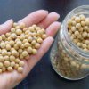 In Primorje, wurden mehr als 500 Tonnen Sojabohnen mit den Samen von einem starken Allergen