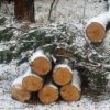 Logging-Aktivit"aten in Fernost werden von sechs Millionen Kubikmeter