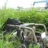 police de la circulation v'erifie sur le fait d'accidents mortels dans Primorye