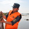 Por Ussuri isla grande rescat'o conejo afectada por las inundaciones