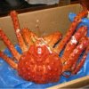 Primorsk "lucru crab", a venit la nivel federal