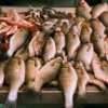 Primorye vuole fare il pesce ad un prezzo accessibile