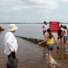 Regiunii Primorsky va lua copiii din regiunile afectate de inundatii din Extremul