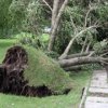 Silny wiatr wial dachy dom'ow i powalil drzewa w miejscowo'sci w kraju nadmorskim