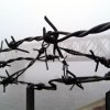 Следствием в Приморском крае собрано достаточно доказательств