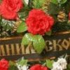 Установлено, что посетителю МОГТО стало плохо, он упал