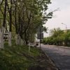 В первых числах августа ремонт начался во дворе дома