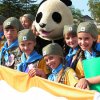 In Primorye festival of "The Leopard and the Sea"