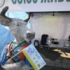 Milk Festival startete in Wladiwostok