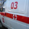 Pensionar si c^ainele ei a murit dupa ce a cazut de pe o st^anca ^in Vladivostok