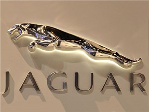 Jaguar     - 