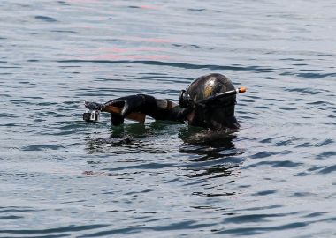 Марафонский заплыв в ластах через Амурский залив прошел во Владивостоке Марафонский заплыв в ластах через Амурский залив прошел во Владивостоке