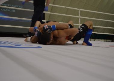 Десять приморских спортсменов вышли в финал Чемпионата ДВФО по смешанному боевому единоборству ММА Десять приморских спортсменов вышли в финал Чемпионата ДВФО по смешанному боевому единоборству ММА