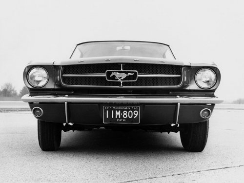     Ford Mustang    - 