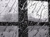Во вторник во Владивостоке прогнозируется небольшой дождь