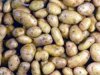В Приморье не пустили почти 18 тонн картофеля из Китая