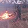 В Приморье тушат первые в этом году лесные пожары
