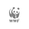 WWF:      