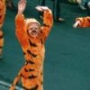 В воскресенье во Владивостоке отметят день тигра