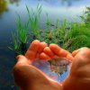 Специалисты исследуют качество вод в приморских реках и озерах