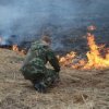 Четыре природных пожара зарегистрированы в Приморье за сутки