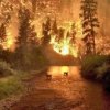 Ишаев выразил обеспокоенность осложнением лесопожарной обстановки