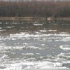 Flood situation discussed at the meeting in Arsenyev