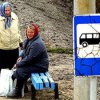 On March 30 in Vladivostok begins the movement of buses on routes dacha