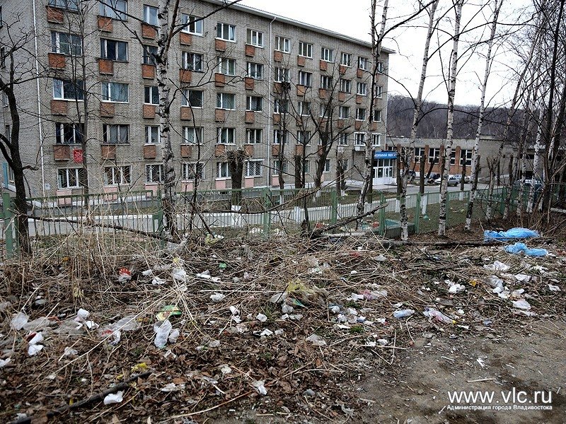 Igor Pushkarev was dissatisfied with the state of health of the city and demanded the immediate start of the general cleaning of