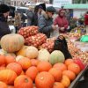 Citywide Fair continues at the central square of Vladivostok