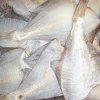 Flounder unknown origin delayed when sent from Primorye