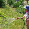 Gardeners are invited to Vladivostok for compensation for travel to their dachas