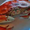 In Japan, 15 Russians arrested for illegal fishing crab