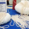 In Osaka, Japan brought the 222-meter long necklace of pearls