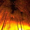 In Primorye, recorded the first wildfires