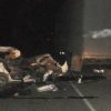 In Primorye, the driver was killed passenger cars, crashing into heavy trucks on the side of