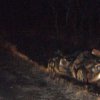 In Primorye, the young driver crashed to death