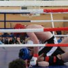 In the championship of the Far East in single combat MMA team Primorye took seven medals